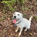 양유리 | 단풍 구경도 못 했는데 10월이 끝나버려따..!