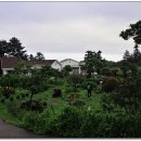 허브힐펜션 이미지