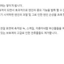 금강카센타 이미지