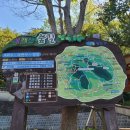 신성동 주민센터 버스정류장 이미지