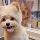 유스타 그루밍 이미지