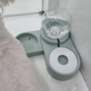 두두펫케어 이미지