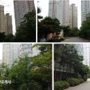 반포광성공인중개사사무소 이미지