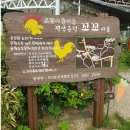 꼬꼬체험장 이미지