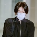 몽쥬르 이미지