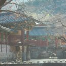 연정낚시터 | 광주 귀락와(歸樂窩)