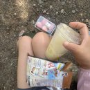 무봉리토종순대국앤삼계탕 | 울진 여행 2일차 코스 울진 가볼만한 곳｜신선계곡, 사동횟집, 하트해변, 은어다리 솔직후기