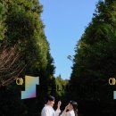 필 모션 | 웨딩사진보정 업체 진행중인 필모션 리얼후기