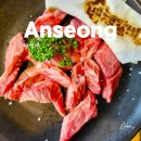 백제갈비 | 안성 백제갈비 후기, 안성팜랜드 맛집 자작나무 정원 예쁜 곳