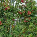 옥이네농장 이미지