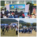 당포초등학교 이미지