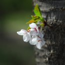 (주)고운벗 이미지