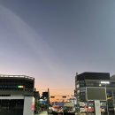 쌍용서비스프라자 서인천코너 | DAY1 첫 날부터 느낀거야 상하이와 사랑에 빠질거란 걸