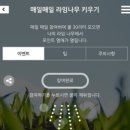 리페이브 이미지