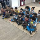 숲속예능어린이집 이미지