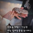 인수봉로 | 서울 실내 동물원 추천, 강북구 쥬니버스 아이 체험 후기