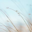 민원25 행정사사무소 이미지