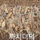 까치수퍼 이미지