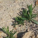 도연농원 이미지