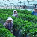 갑이농장 이미지