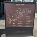 제주 산방산 암벽식물지대 | 제주도 여행(산방산 사찰 1편) | 산방산, 산방산보문사
