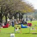 오천그린광장 이미지