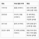 조류독감 이미지