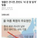 창원마리나리조트