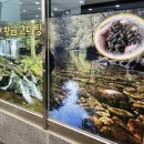 황금고디탕 | [경남 거제] 황금고디탕 - 다슬기탕, 생선구이정식