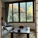 2025년 11월1일~5일//일본 후지산＜가을 단풍여행＞3 [후지산능선트레킹 - 스바루라인 오합목/후지산전망대 - 시모베온천] 이미지