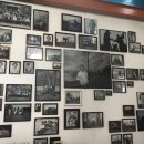 대추리평화마을 이미지