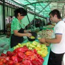 Agricultural products fairs held in Tashkent 이미지