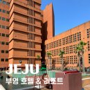 부영정비 - 금정구 중앙대로1826번길 26-8 | 제주 서귀포 숙소, 제주 부영호텔&리조트 | 수영장 예쁜 중문 가성비 호텔