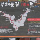 동주로(동주길) 이미지