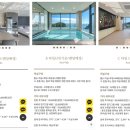 더레지아A 이미지