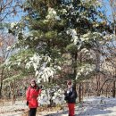 미사호수공원 이미지