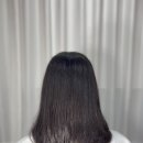 컷트에더하다