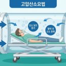 대한민국 고압산소요법(HBOT)의 임상적 기전, 적응증 심층 분석 및 전국 시행 의료기관 인프라 현황 보고서
