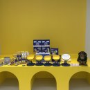 댕겨올개 이미지