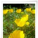 촉석루주유소 이미지