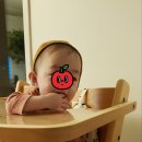 집(JIP) | 제주 독채 풀빌라 집(JIP) 다시 갈만한 곳으로 추천!