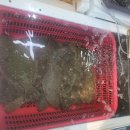 은희수산 이미지