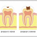 탄탄치과 이미지