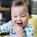 진천점 거인왕족발, 매운족발, 왕족 / 반반 족발먹은후기! 거인왕족발