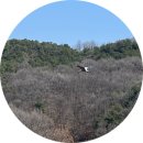 횃대둥우리 이미지