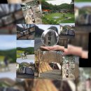 손찬반찬백화점 이미지