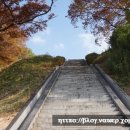 해미-비상-5 이미지