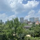 더뷰(3) 이미지