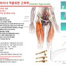 폼롤러를 이용한 단기 세미나 이미지