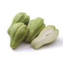 정보농장 이미지